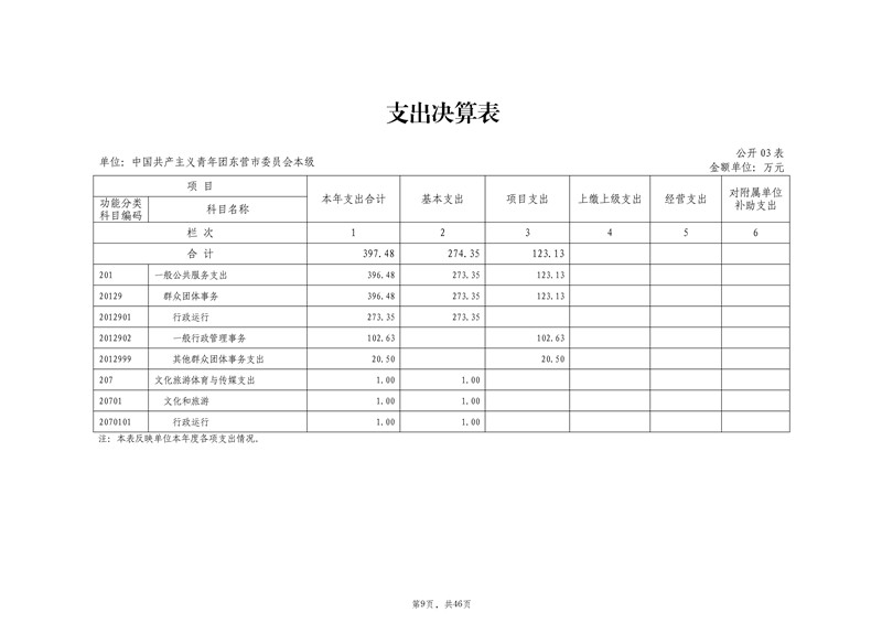 2021年度中国共产主义青年团东营市委员会本级决算（2022.9.27）审核_10.jpg